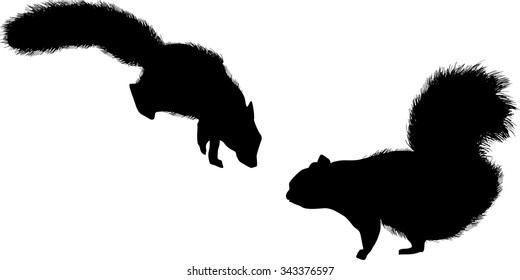 illustration with two squirrels isolated on white background