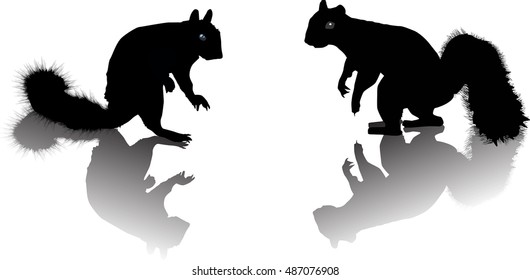 illustration with two squirrels isolated on white background