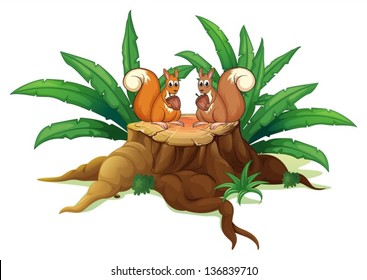 Illustration of the two squirrels with nuts above the wood on a white background