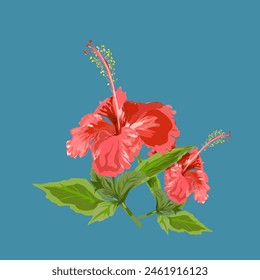 illustration of two stalks of hibiscus flowers on a blue background