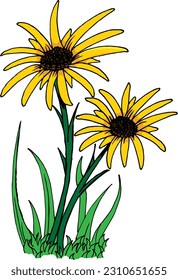 illustration of two sunflowers in the garden