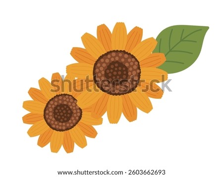 Illustration of two sunflowers and leaves
