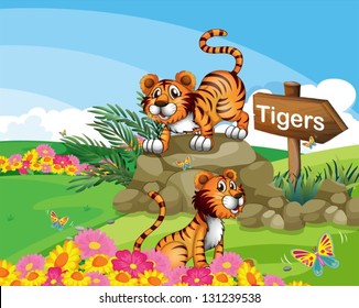 Illustration of the two tigers beside a signboard