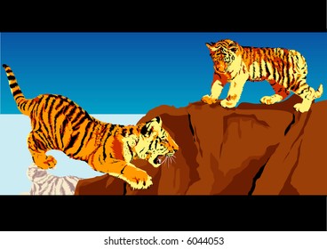 Illustration of two tigers on the prowl