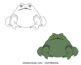 The illustration of two toads for a coloring book, template