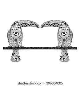 Illustration of two toucans on branch in drawing style. Hand Drawn coloring book doodle vector illustration. Toucan