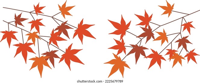 Illustration of two types of autumn leaves