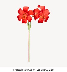 Illustration of two vibrant red flowers with green stems. Red flowers in bloom, showcasing bright red petals. Red flowers stand out against a white background. Vintage flower illustration vector.