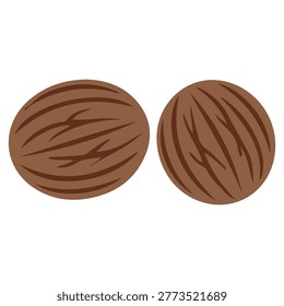 Illustration of two whole nutmegs with their textured shells, isolated on a white background.