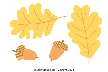 Ilustración de dos hojas de roble amarillo y dos bellotas, que simbolizan el otoño. El diseño simple captura la esencia del otoño con tonos cálidos y Elementos naturales, perfectos para temas de temporada.