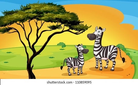 illustration of two zebra under the tree