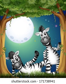 Illustration of the two zebras at the forest