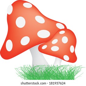 illustration of typical red mushroom style toad stools