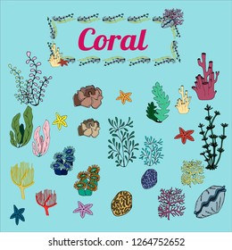 An illustration of the underwater world is presented in the form of algae, corals, sea stars and seashells.