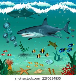 Illustration with the underwater world.Sharks, jellyfish and colorful fish underwater in color vector illustration.