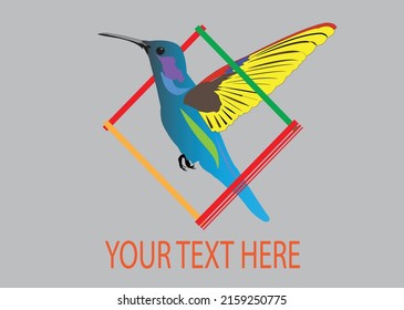 illustration of a unique logo colour birds