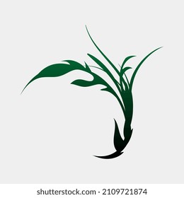 illustration of unique and vagus plant vector images for display or others