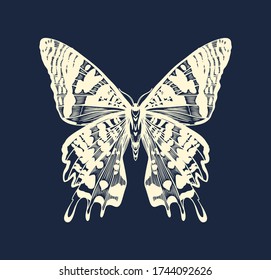 Illustration of Urania Moth from Madagascar. Vector, line art, 
high ditalization. Beautiful butterfly art