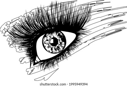 illustration of usa flag in beautiful female eye