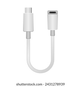 It is an illustration of USB Type-C Female from white conversion cable _usb Type-C.