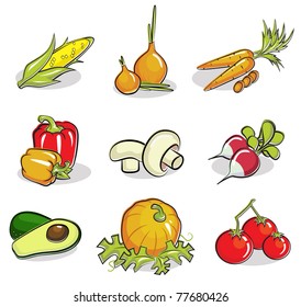 Illustration of useful ripe vegetables