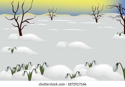 
illustration of a valley in the snow, bare trees, snowdrops flowers grew in the snowdrifts