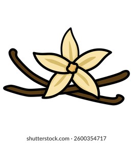 Illustration of vanilla with flower