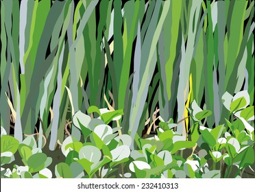 an illustration of variety of leaves and flowers on the marshland.