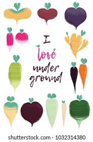 Illustration with a variety of root vegetables