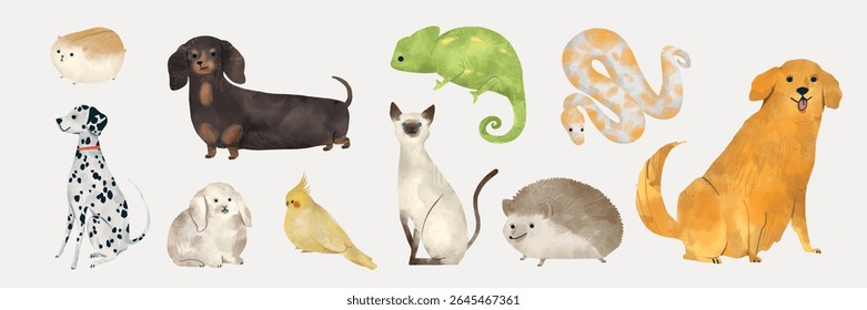 Illustration of various animals: dogs, cat, chameleon, snake, bird, hedgehog. Features dachshund, Dalmatian, Siamese cat, cockatiel, and more. Colorful and diverse pets. Isolated animal vector set.