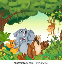 illustration of various animals in the forest