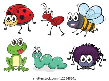 Illustration of various animals and insects on white