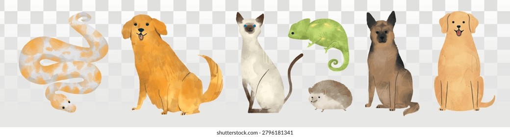 Illustration of various animals: snake, golden retriever, Siamese cat, chameleon, hedgehog, German shepherd, and Labrador. Diverse animals in a lineup. Isolated animal vector set.
