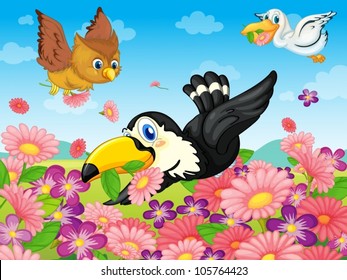 illustration of various birds on a white background
