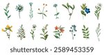 Illustration of various botanical elements. Includes flowers, leaves, and berries. Each botanical element is uniquely designed with vibrant colors and details. Botanical elements, vector set.