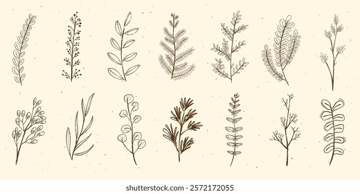 Illustration of various botanical elements. Botanical sketches include leaves, branches, and foliage. Hand-drawn botanical designs in earthy tones. Cute leaf illustrations, vector set.