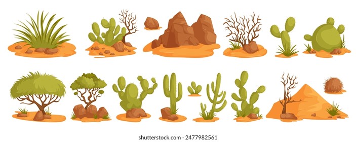 Illustration of various cartoon desert plants and landscapes, featuring cacti, rocks, and sand dunes in a whimsical style.