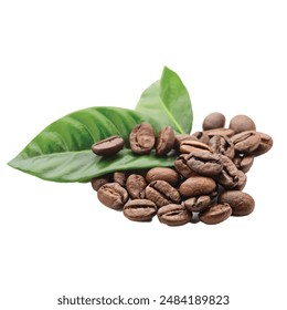 Illustration of various coffee beans including Arabica and Kona coffee. Features elements like coffee beans, leaves, and food, perfect for cafe-themed designs