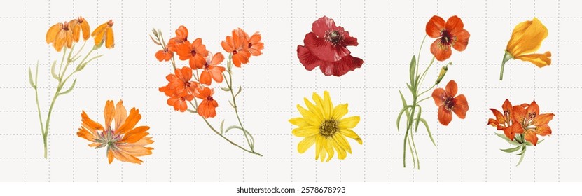 Illustration of various colorful flowers, including orange, red, and yellow blooms. Each flower is detailed, showcasing vibrant petals and delicate stems. Nature illustrations, isolated vector set.