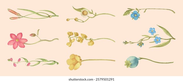 Illustration of various delicate flowers, featuring pink, yellow, and blue blossoms. Each flower is uniquely detailed, showcasing nature's beauty and diversity. Spring flower illustrations, vectors.