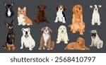 Illustration of various dog breeds, including a Chihuahua, Corgi, Labrador, Beagle, Golden Retriever, and more, all sitting on a gray background. Cute element vector set.