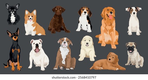 Illustration of various dog breeds, including a Chihuahua, Corgi, Labrador, Beagle, Golden Retriever, and more, all sitting on a gray background. Cute element vector set.