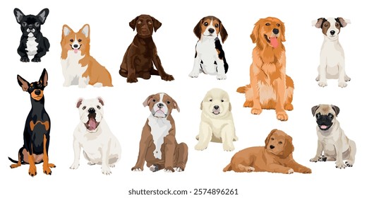 Illustration of various dog breeds, including a bulldog, beagle, and golden retriever. Dogs in different poses and colors, showcasing diversity in breeds. Cute illustrations vector set.