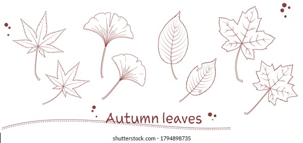 Illustration various fallen leaves in pen drawing style