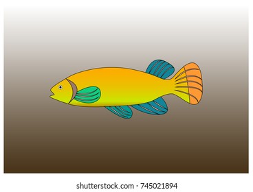 illustration of various fish model 2