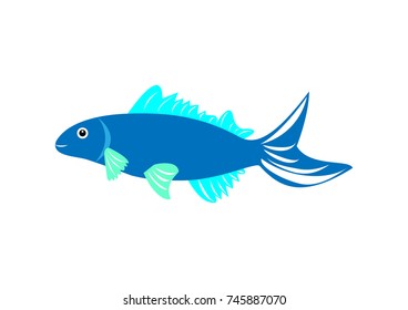 illustration of various fish model 22