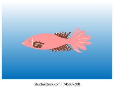 illustration of various fish model 24