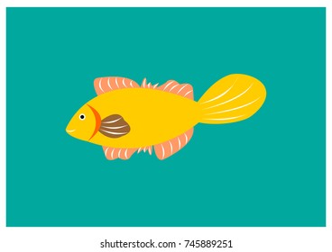 illustration of various fish model 32
