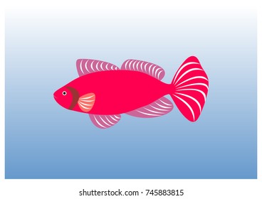 illustration of various fish model 5