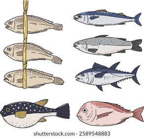  illustration of various fish such as mackerel, tuna, etc